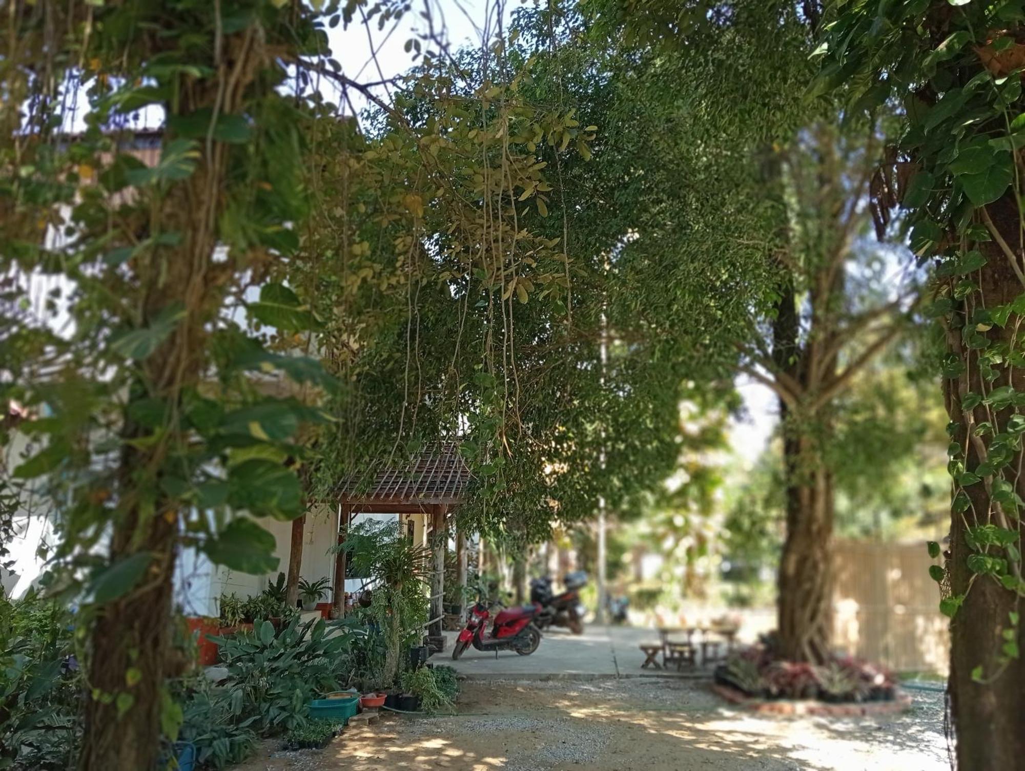 Vangvieng Ruby'Homestay Vang Vieng Esterno foto