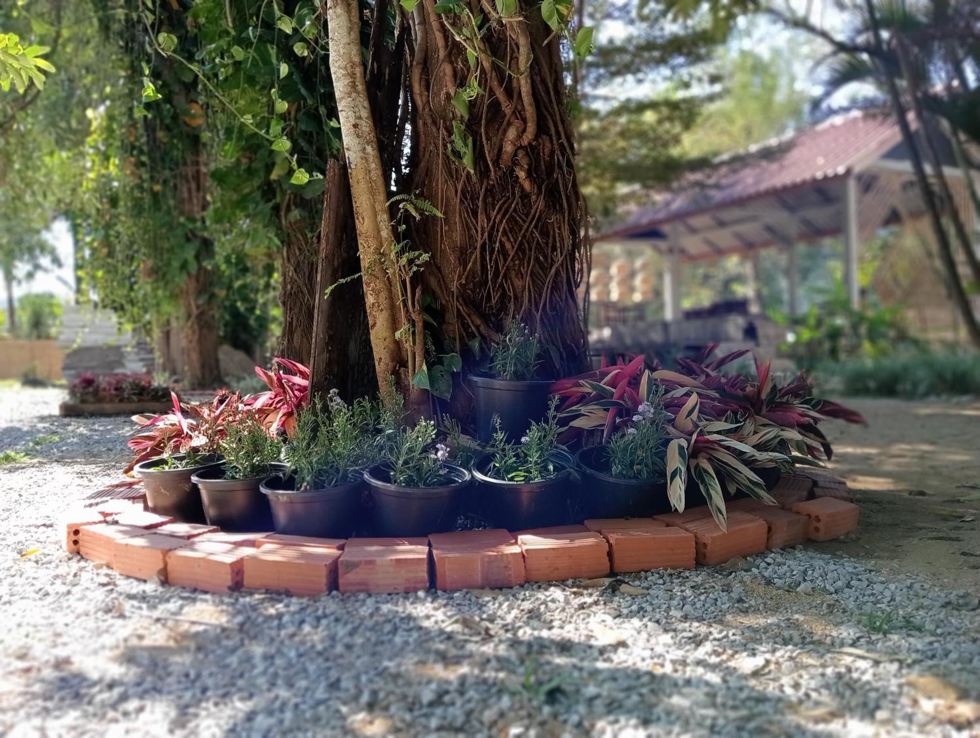 Vangvieng Ruby'Homestay Vang Vieng Esterno foto
