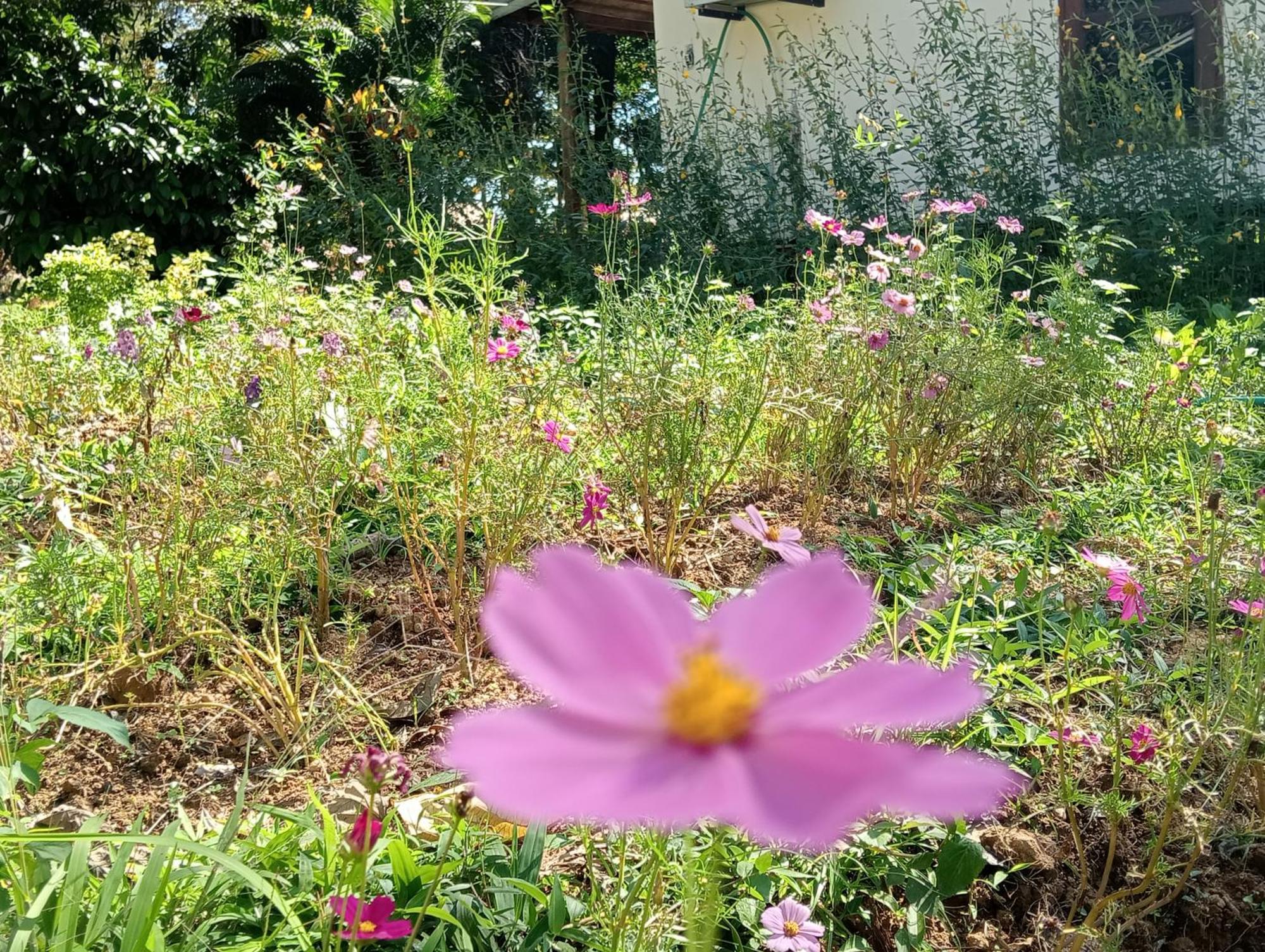 Vangvieng Ruby'Homestay Vang Vieng Esterno foto