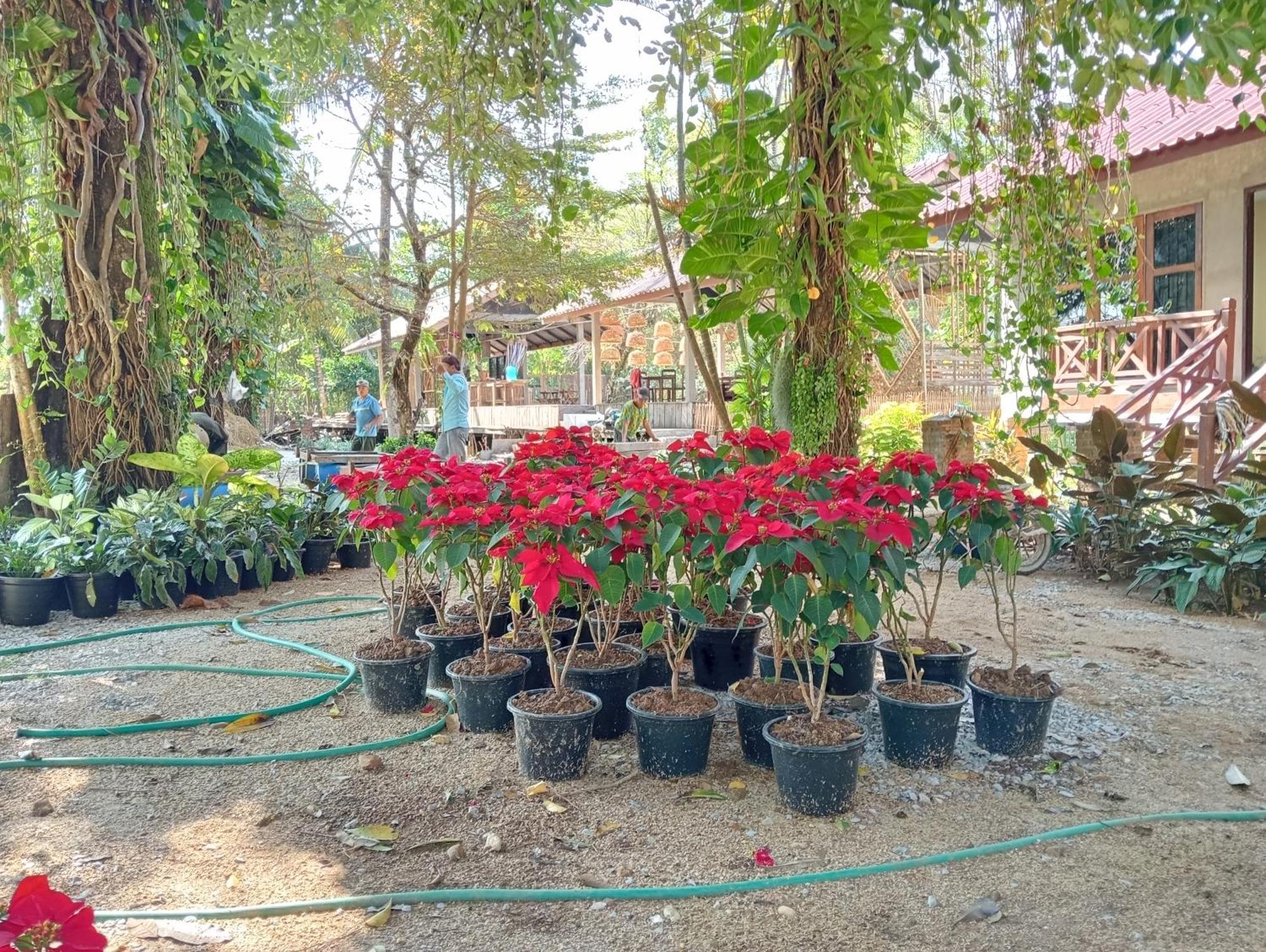 Vangvieng Ruby'Homestay Vang Vieng Esterno foto